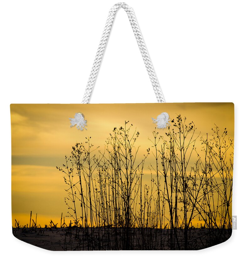 Agriculture Weekender Tote Bag featuring the photograph A Winter's Silhouette by Christi Kraft