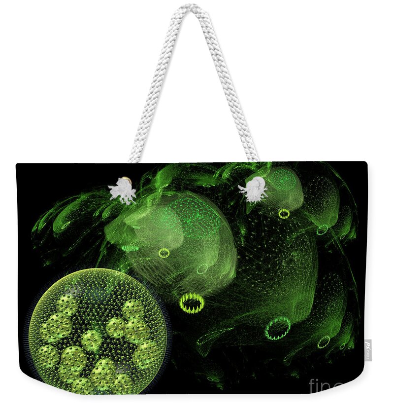 Abstract Weekender Tote Bag featuring the digital art Abstract pond creatures by Russell Kightley