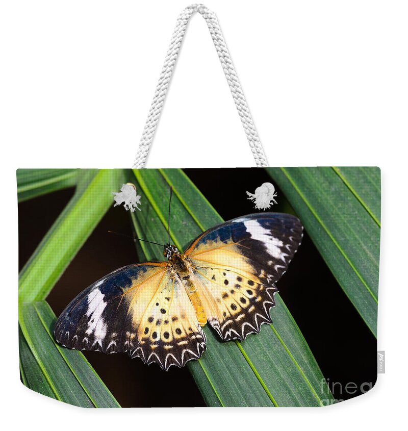 Leopard Lacewing Weekender Tote Bag featuring the photograph Butterfly on Leaves by Tamara Becker