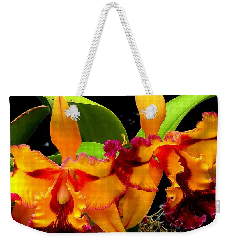 Fine Art Weekender Tote Bag featuring the photograph Abundance by Rodney Lee Williams