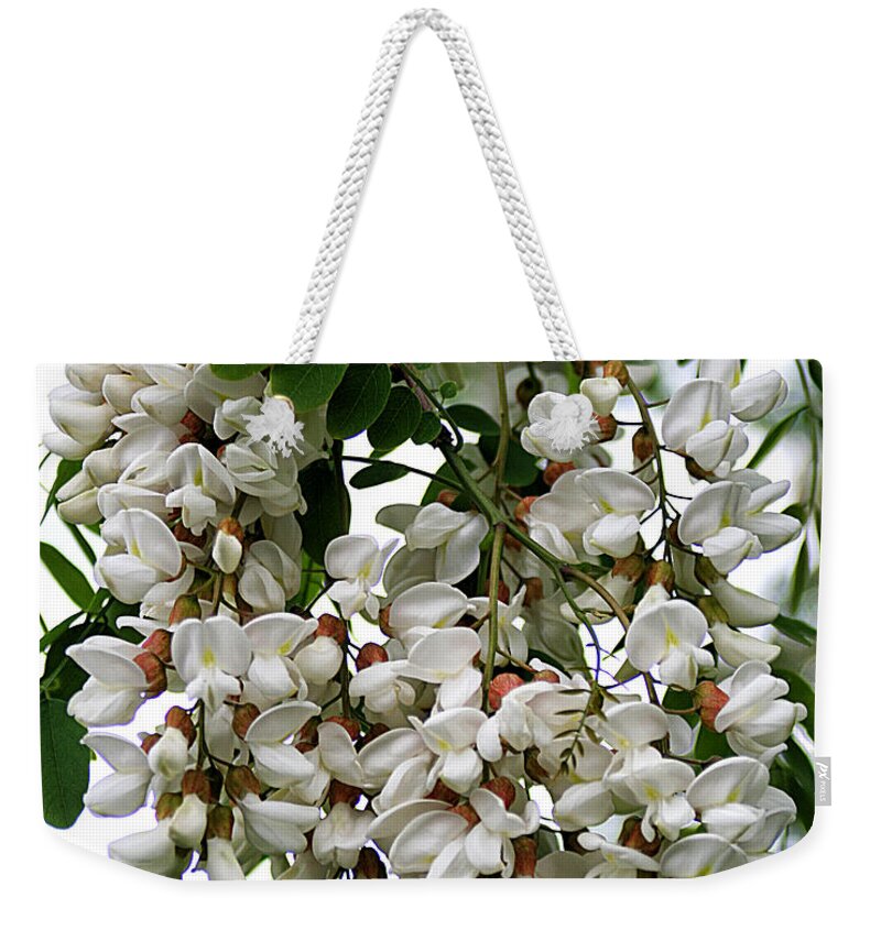 Nature Weekender Tote Bag featuring the photograph Acacia Tree Flowers by William Selander
