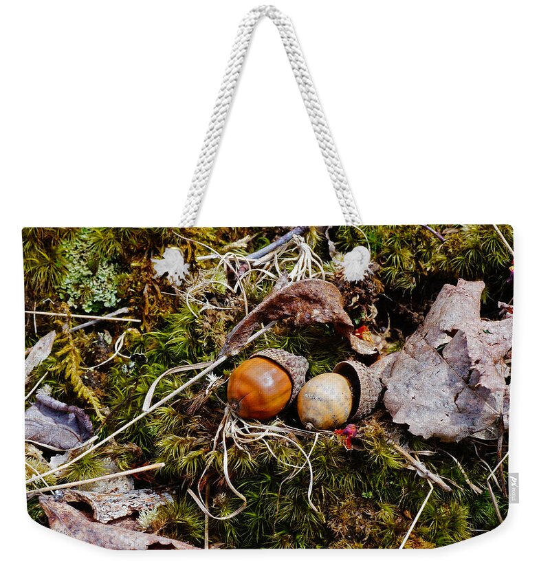 Acorns Weekender Tote Bag featuring the photograph Two Acorns by Mike Murdock