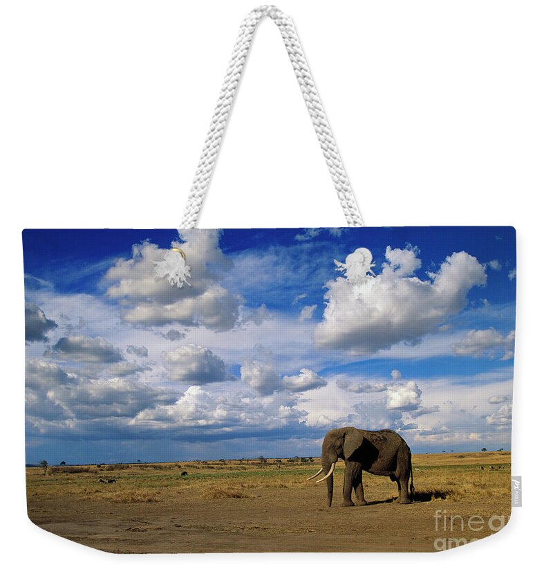 00344759 Weekender Tote Bag featuring the photograph African Elephant Walking in Masai Mara by Yva Momatiuk John Eastcott