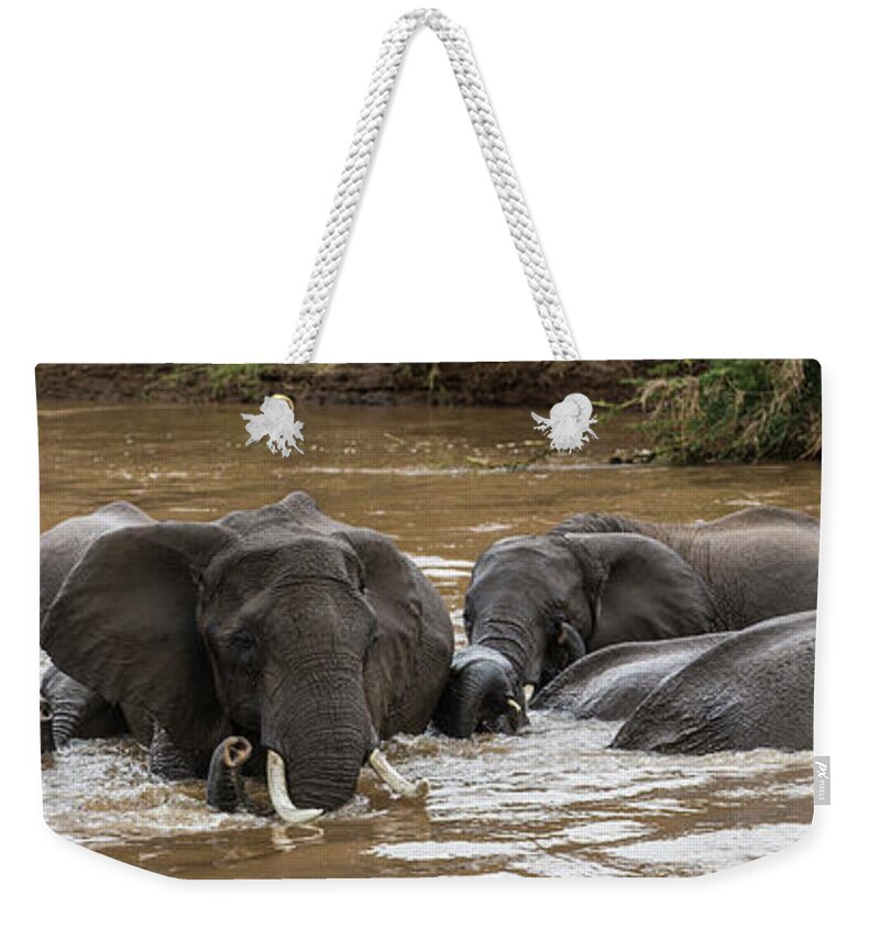 Kenya Weekender Tote Bag featuring the photograph African Elephants Having A Bath In Mara by Manoj Shah