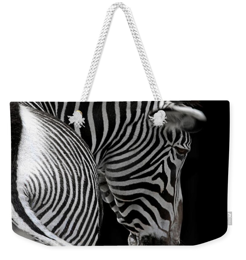 Animal Weekender Tote Bag featuring the photograph african stripes II by Joachim G Pinkawa