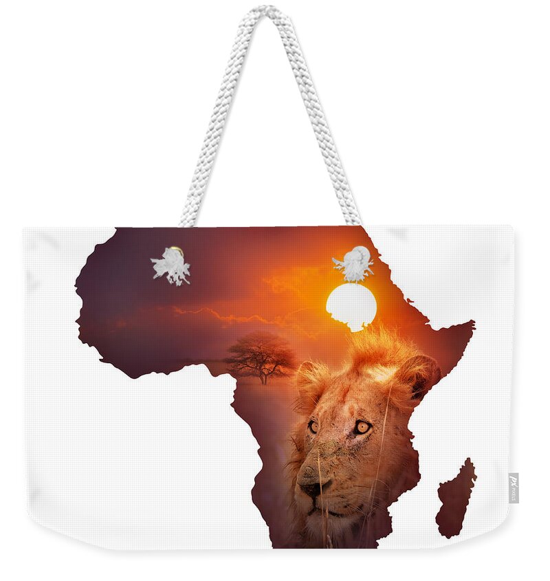 Africa Weekender Tote Bag featuring the photograph African Wildlife Map by Johan Swanepoel