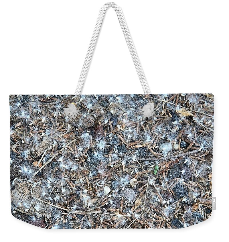 Dandelions Weekender Tote Bag featuring the photograph After Jackson Pollock by Steven Richman