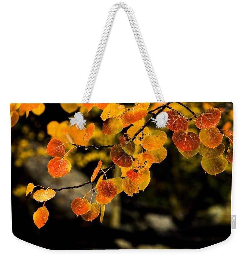 Fall Weekender Tote Bag featuring the photograph After Rain by Chad Dutson