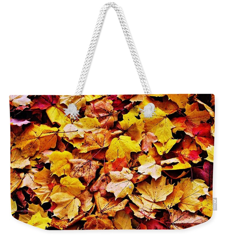 Abstract Weekender Tote Bag featuring the photograph After The Fall by Daniel Thompson