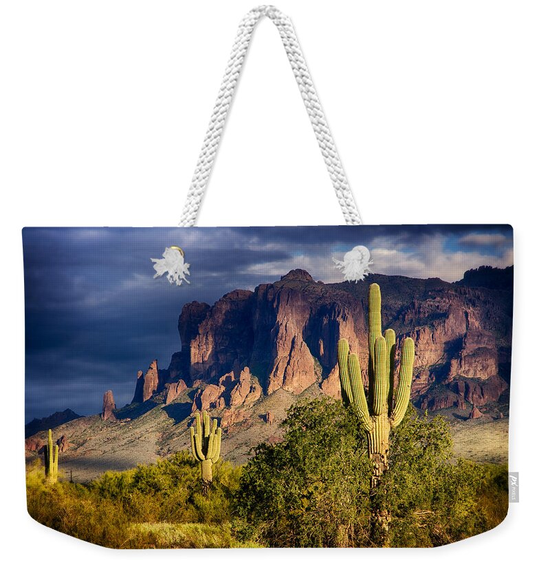 Saguaro Sunset Weekender Tote Bag featuring the photograph After the Rain by Saija Lehtonen