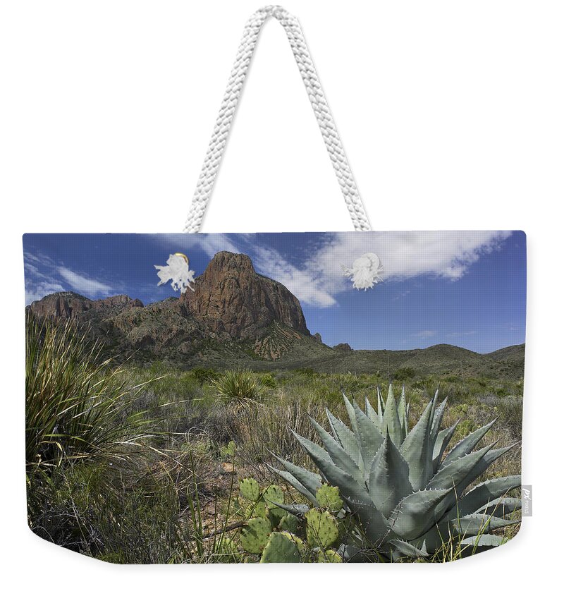 Feb0514 Weekender Tote Bag featuring the photograph Agave And Cactus Big Bend Np Texas by Tim Fitzharris