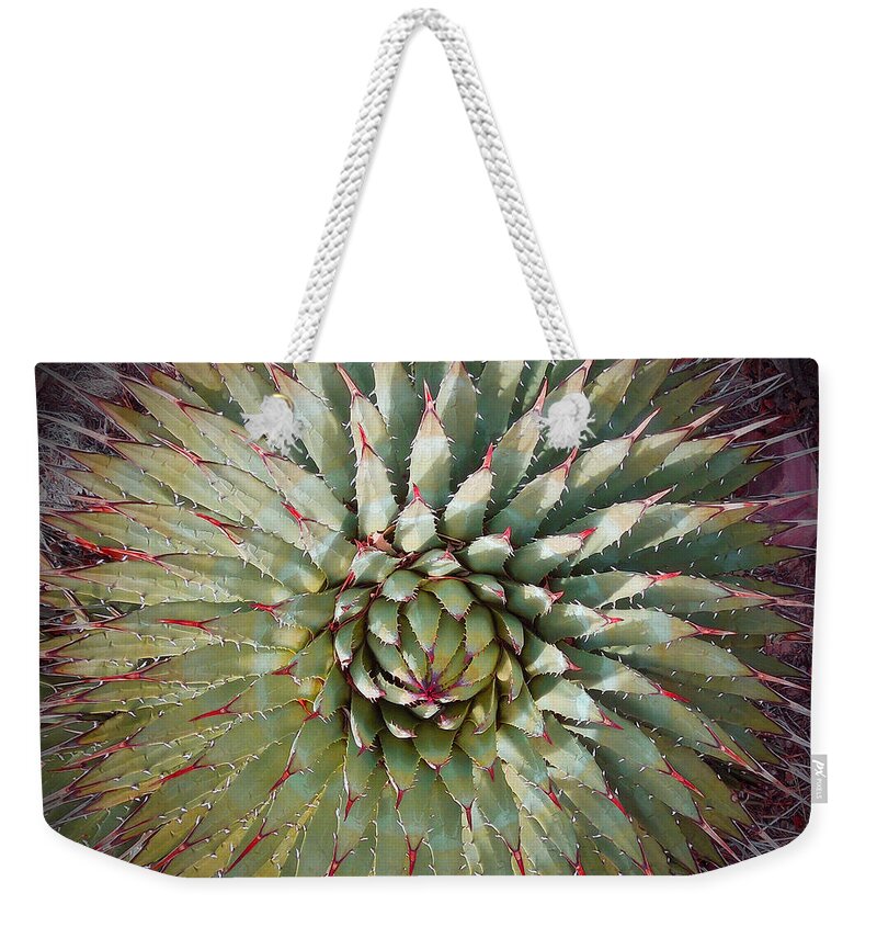 Agave Weekender Tote Bag featuring the photograph Agave Spikes by Alan Socolik