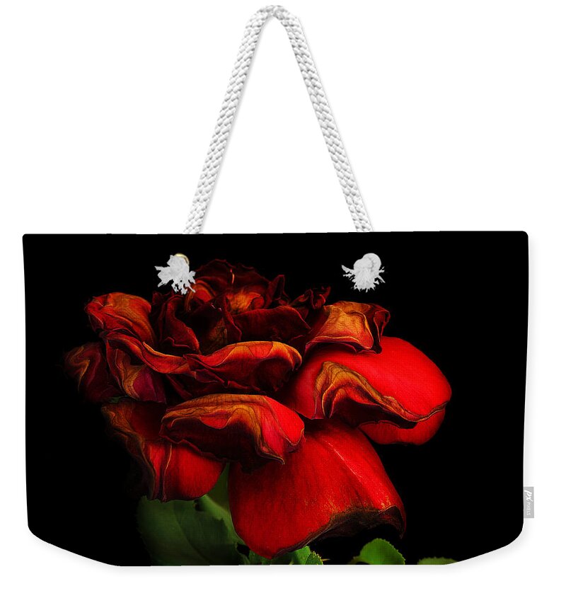 Rose Weekender Tote Bag featuring the photograph Ageing Beauty by Robert Woodward