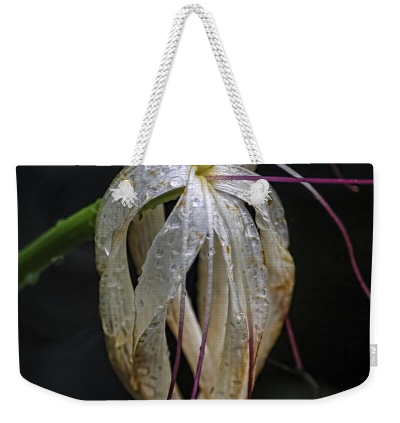 Flower Weekender Tote Bag featuring the photograph Aging Well by Steven Sparks