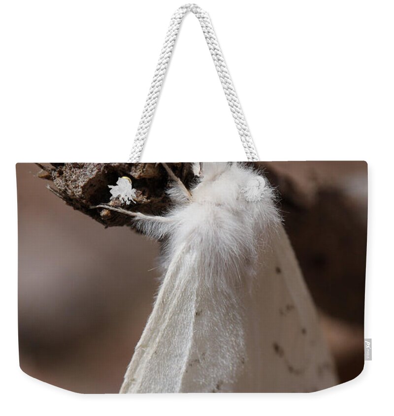 Agreeable Tiger Moth Weekender Tote Bag featuring the photograph Agreeable Tiger Moth by Daniel Reed