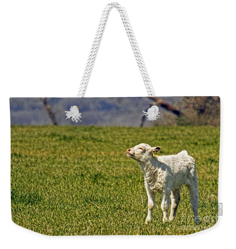 Spring Is Here Weekender Tote Bag featuring the photograph Ahhhh Spring Is Here by Gary Holmes