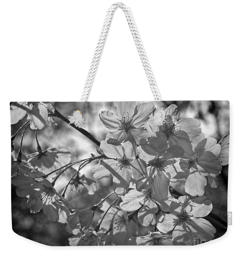 Monochrome Weekender Tote Bag featuring the photograph Akebono in monochrome by Peggy Hughes