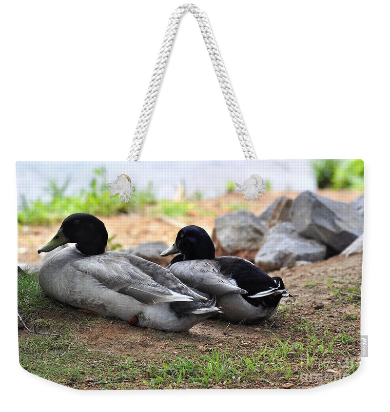 Alabama Weekender Tote Bag featuring the photograph Alabama Ducks Taking a Rest by Verana Stark