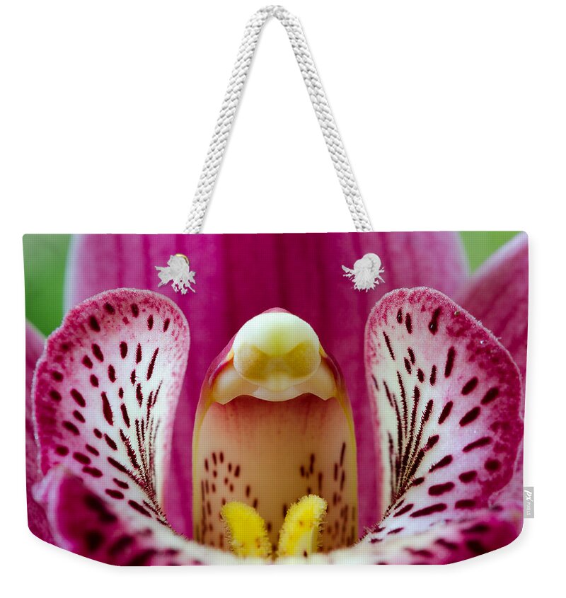 Volcano Village Lodge Weekender Tote Bag featuring the photograph Alien Orchid by Georgette Grossman