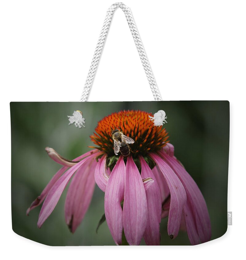 Cone Flowers Weekender Tote Bag featuring the photograph All Mine by Ernest Echols