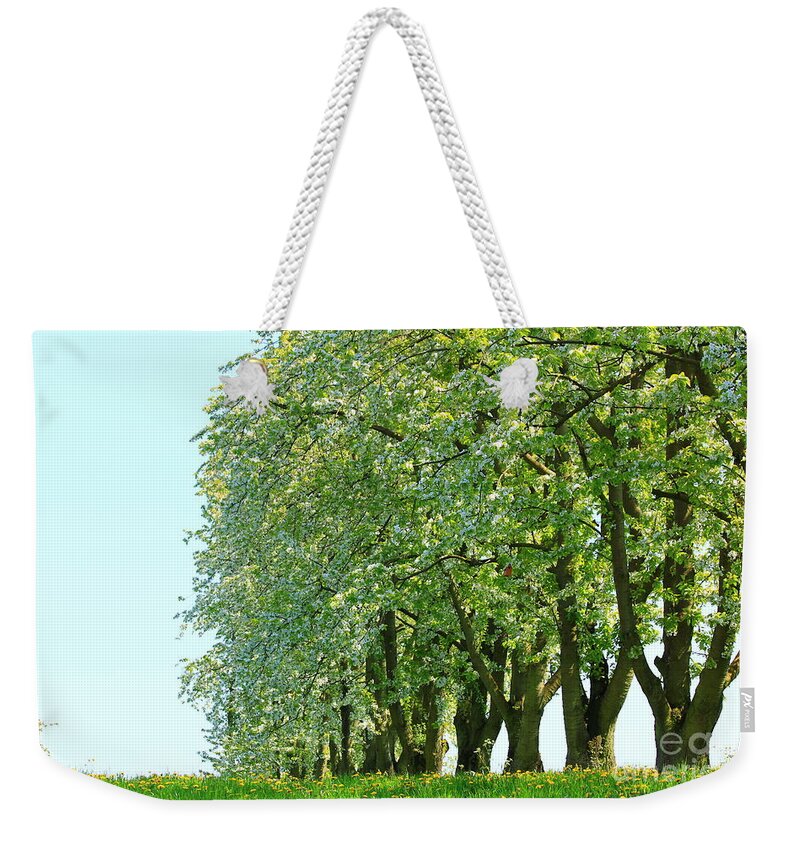 Autumn Weekender Tote Bag featuring the photograph Alley of Trees by Amanda Mohler