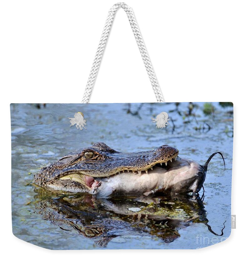 Alligator Weekender Tote Bag featuring the photograph Alligator Catches Catfish by Kathy Baccari