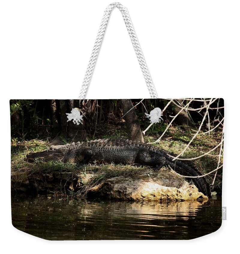 Alligator Weekender Tote Bag featuring the photograph Alligator by Joseph G Holland