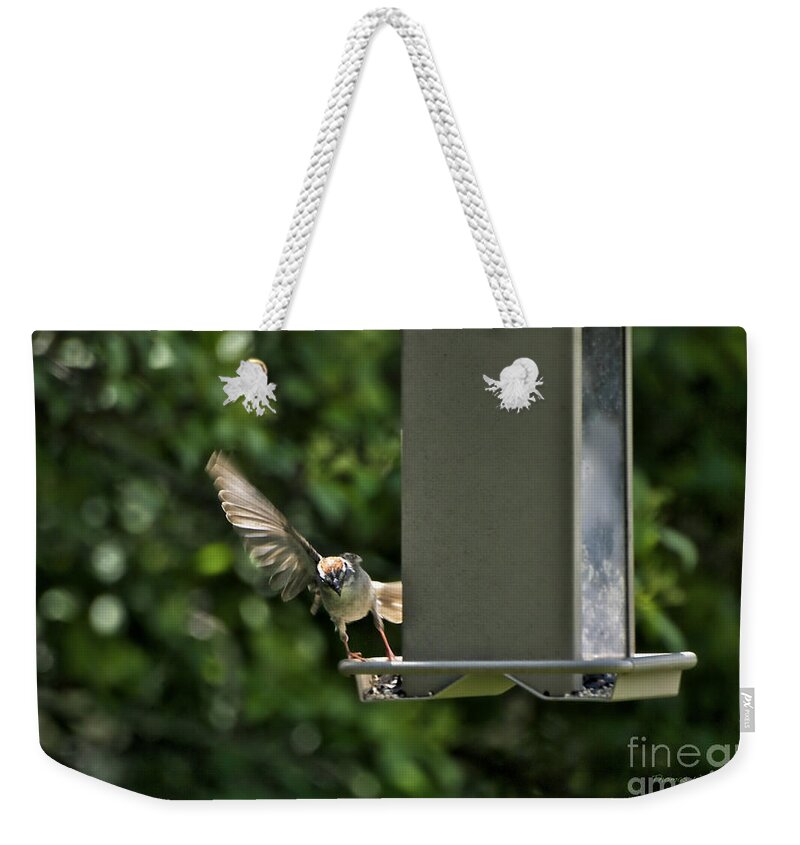 Animals Weekender Tote Bag featuring the photograph Almost A Ruff Bird Landing by Thomas Woolworth