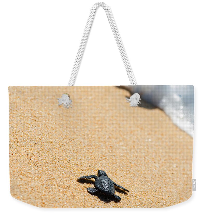 Beach Weekender Tote Bag featuring the photograph Almost Home by Sebastian Musial