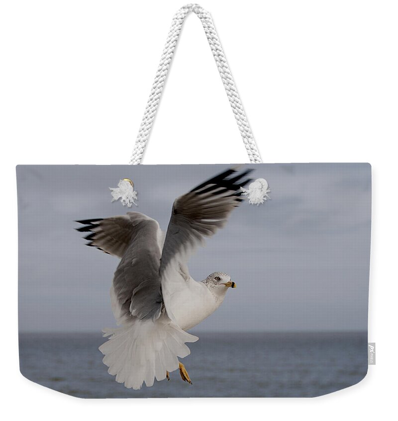 Gull Weekender Tote Bag featuring the photograph Aloft I by Carol Erikson