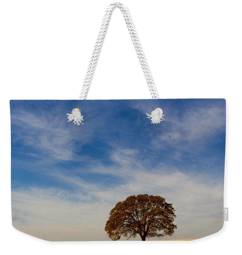 Tree Weekender Tote Bag featuring the photograph Alone by Robert Woodward