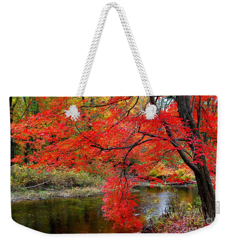 New Hampshire Weekender Tote Bag featuring the photograph Along The Lamprey by Eunice Miller