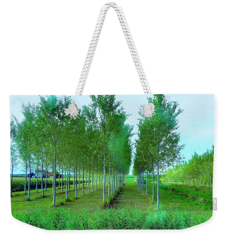 Italy Weekender Tote Bag featuring the photograph along the road in Italy by Jodie Marie Anne Richardson Traugott     aka jm-ART