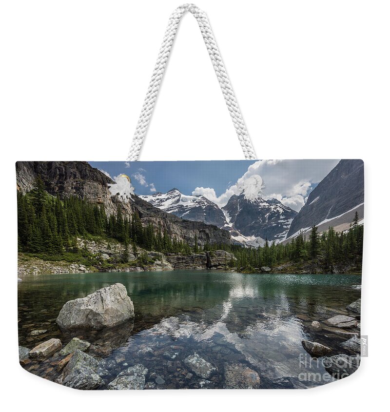 British Columbia Weekender Tote Bag featuring the photograph Along the Trail by Carrie Cole