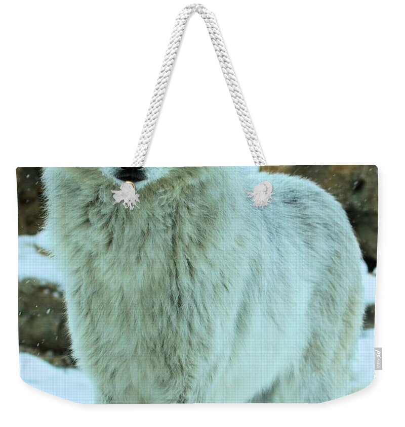 Gray Wolf Weekender Tote Bag featuring the photograph Alpha Girl by Adam Jewell