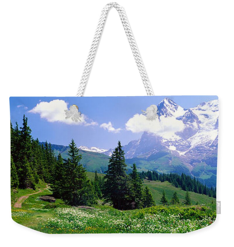 Photography Weekender Tote Bag featuring the photograph Alpine Scene Near Murren Switzerland by Panoramic Images