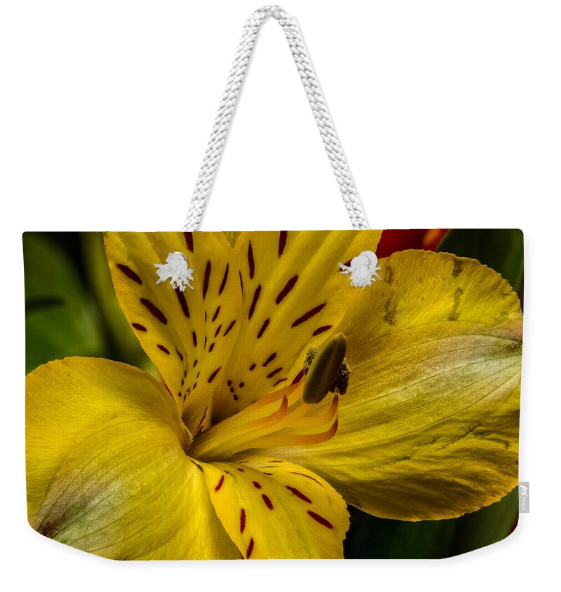 Alstroemeria Weekender Tote Bag featuring the photograph Alstroemeria Bloom by Ron Pate
