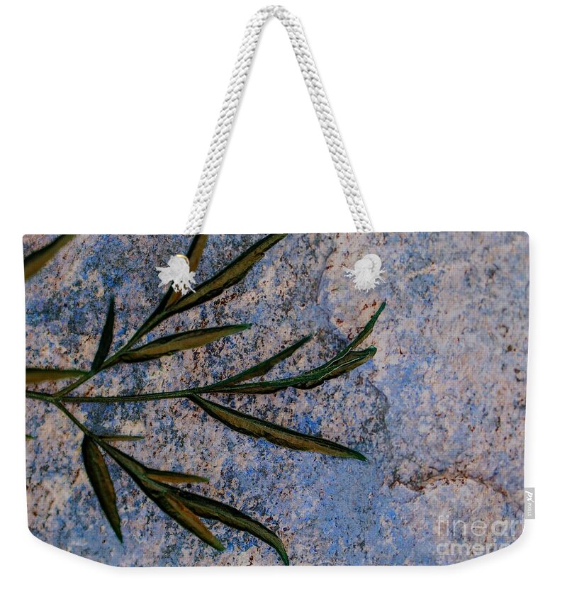 Leaf Weekender Tote Bag featuring the photograph Altered State by Judy Wolinsky