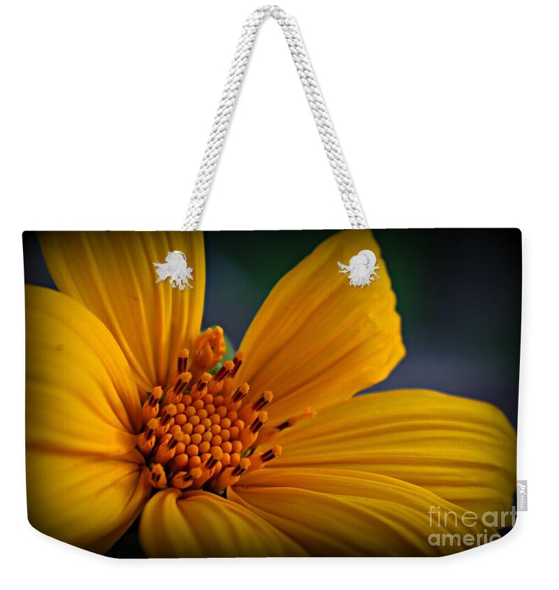 Sunflower Weekender Tote Bag featuring the photograph Amarillo by Clare Bevan
