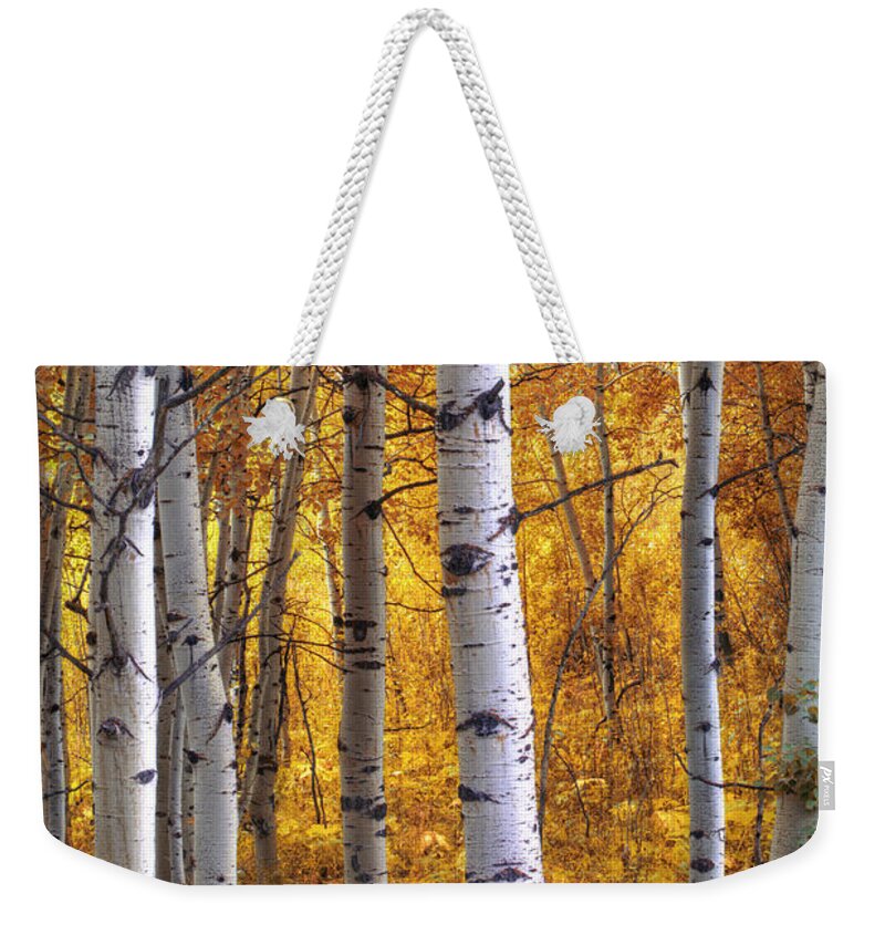 Aspen Trees Weekender Tote Bag featuring the photograph Amber Aspens by Marco Crupi