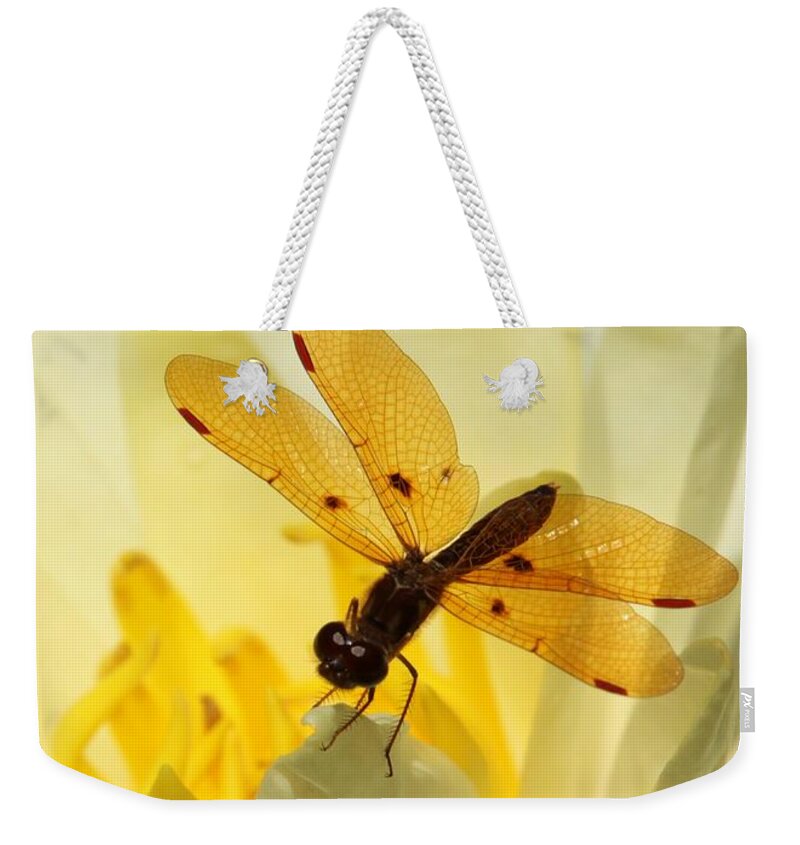 Dragon Fly Weekender Tote Bag featuring the photograph Amber Dragonfly Dancer by Sabrina L Ryan