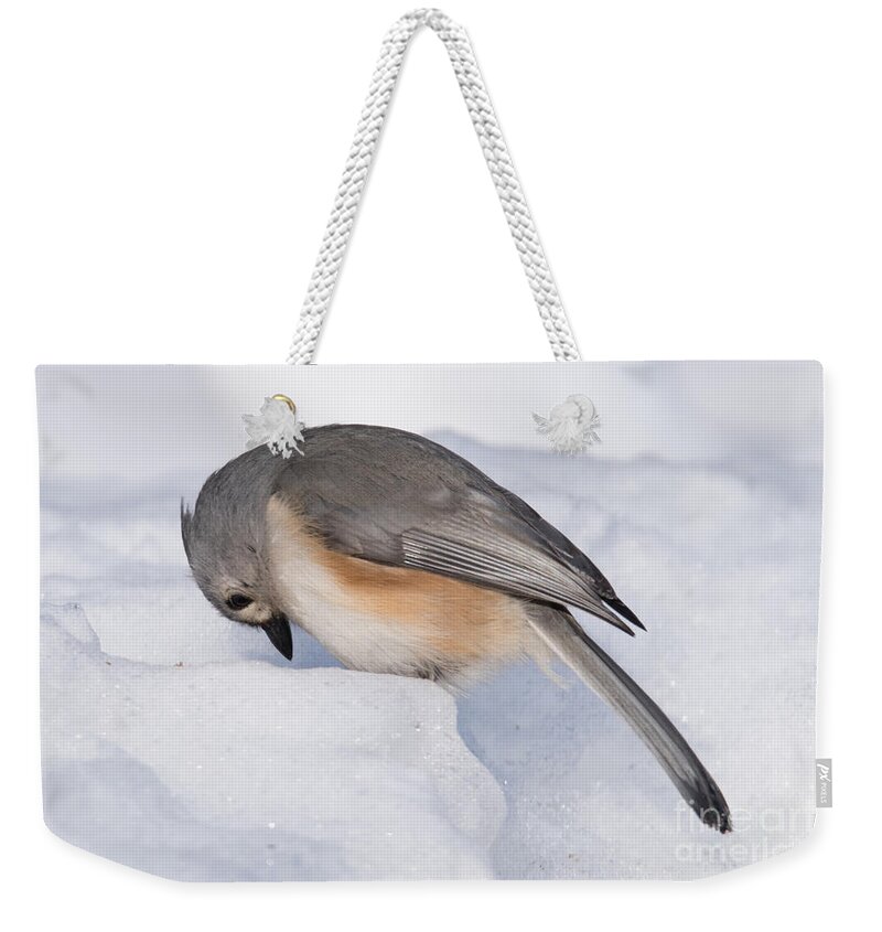 Amen Weekender Tote Bag featuring the photograph Amen by Ronald Grogan