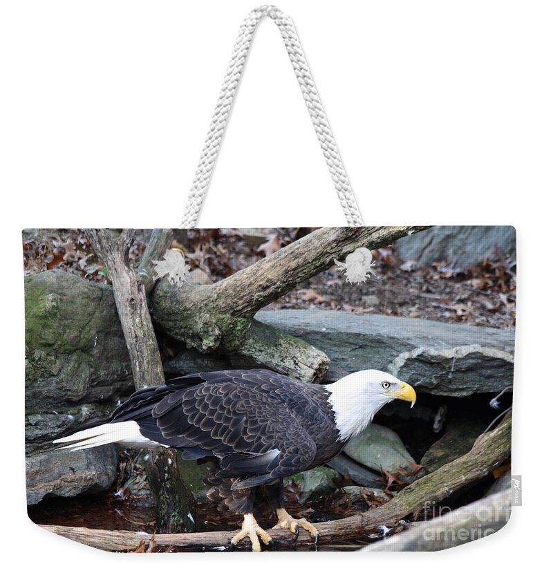 American Weekender Tote Bag featuring the photograph America by John Telfer