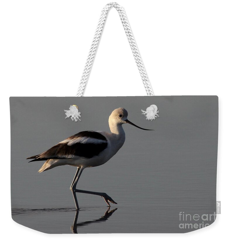 American Avocet Weekender Tote Bag featuring the photograph American Avocet by Meg Rousher