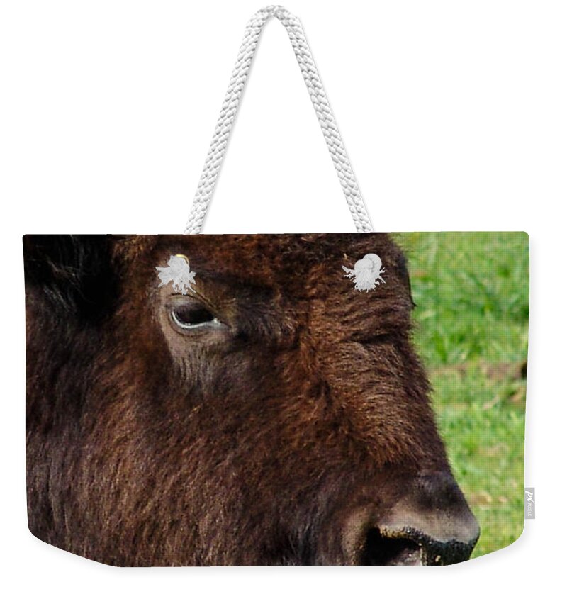 American Bison Weekender Tote Bag featuring the photograph American Bison by Al Griffin