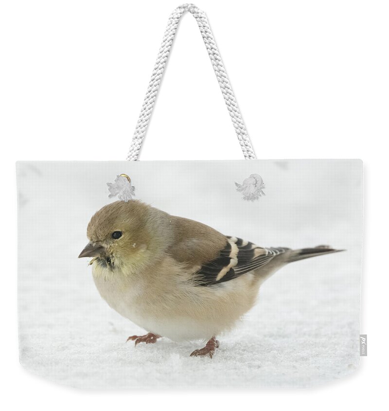 Jan Holden Weekender Tote Bag featuring the photograph American Goldfinch in the Snow by Holden The Moment