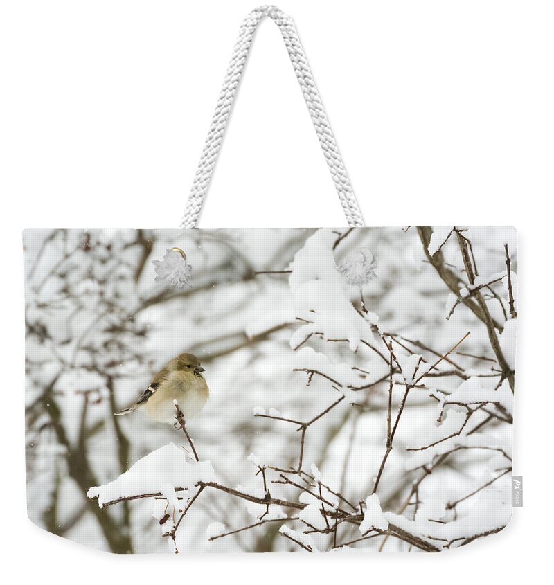 Jan Holden Weekender Tote Bag featuring the photograph American Goldfinch by Holden The Moment