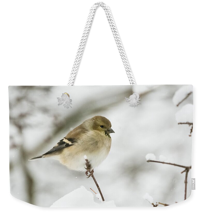 Jan Holden Weekender Tote Bag featuring the photograph American Goldfinch Up Close by Holden The Moment