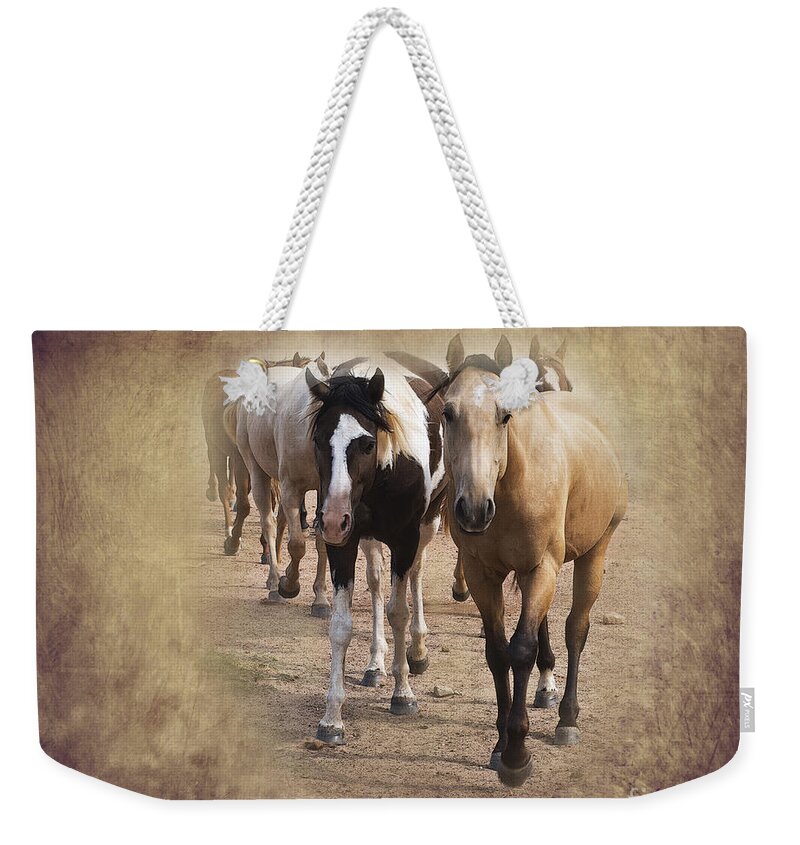 American Quarter Horse Weekender Tote Bag featuring the photograph American Quarter Horse Herd by Betty LaRue
