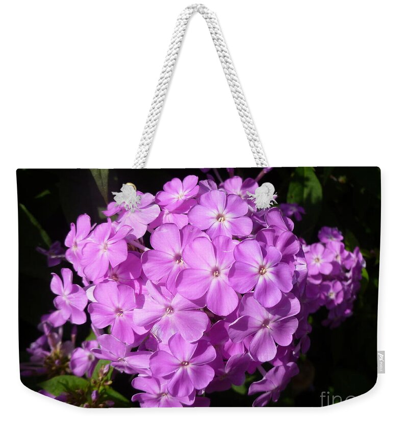 Purple Weekender Tote Bag featuring the photograph Amethyst Hardy Phlox by Lingfai Leung